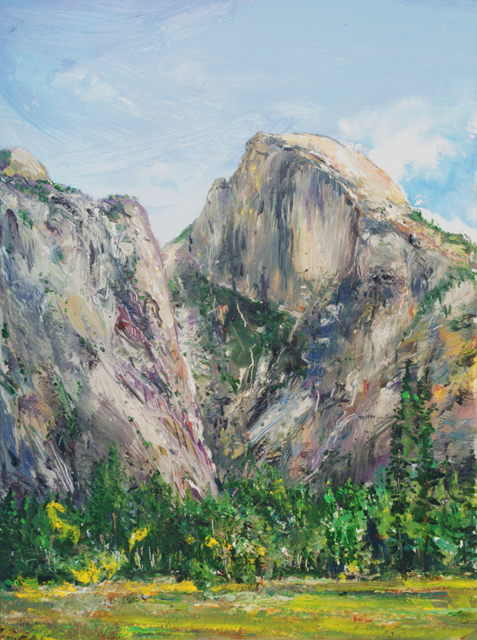 2011 usa yosemite 001